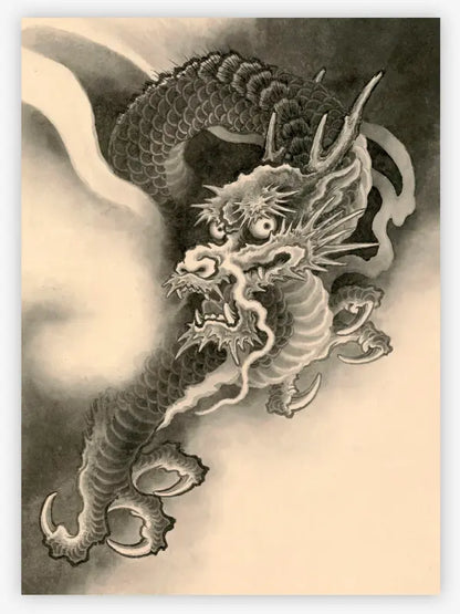 The Dragon Project — Hardcover Book