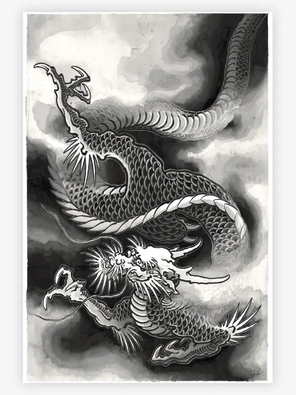 The Dragon Project — Hardcover Book